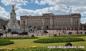 Buckingham-Palace,(London)