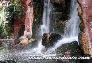 boyoma-falls,(Lualaba River in the Congo, Africa